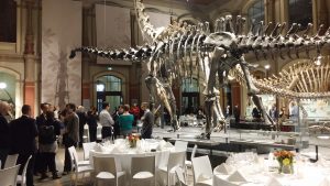 Abendessen mit Dinosaurier im Naturkundemuseum Berlin